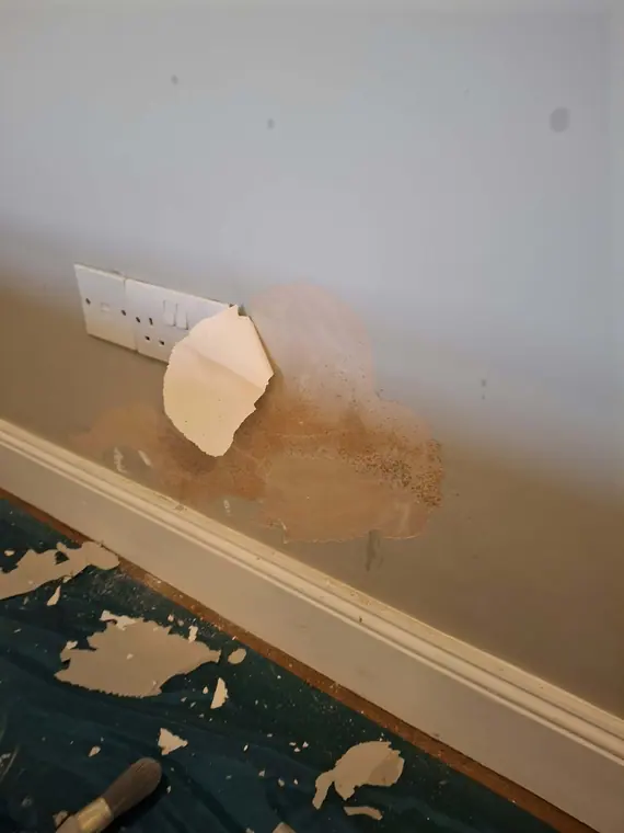 Peeling paint and blown plaster around a socket before making good.